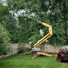 Reliable West Whittier Los Nietos, CA Tree Removal and Landscaping Services Solutions